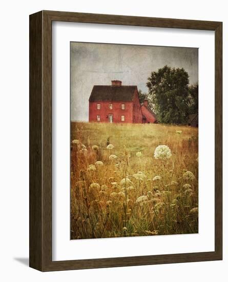 Red Saltbox-Dawne Polis-Framed Art Print