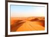 Red Sand Arabian Desert near Dubai, United Arab Emirates-Fedor Selivanov-Framed Photographic Print
