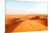 Red Sand Arabian Desert near Dubai, United Arab Emirates-Fedor Selivanov-Mounted Photographic Print