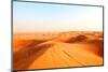 Red Sand Arabian Desert near Dubai, United Arab Emirates-Fedor Selivanov-Mounted Photographic Print