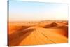 Red Sand Arabian Desert near Dubai, United Arab Emirates-Fedor Selivanov-Stretched Canvas