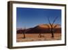 Red Sand Dunes and Dead Trees-Circumnavigation-Framed Photographic Print