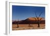 Red Sand Dunes and Dead Trees-Circumnavigation-Framed Photographic Print