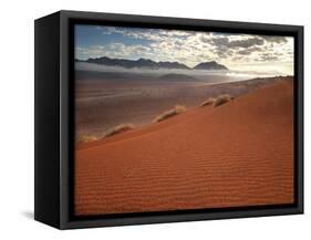 Red Sand Dunes at Dawn Overlooking "Fairy Circles" in the Namibrand Desert, Namibia-Frances Gallogly-Framed Stretched Canvas