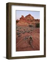 Red Sandstone Coyote Buttes at Dawn-James Hager-Framed Photographic Print