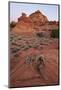 Red Sandstone Coyote Buttes at Dawn-James Hager-Mounted Photographic Print