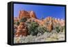 Red Sandstone Formations in Red Canyon-Michael Nolan-Framed Stretched Canvas