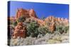 Red Sandstone Formations in Red Canyon-Michael Nolan-Stretched Canvas