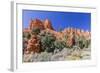 Red Sandstone Formations in Red Canyon-Michael Nolan-Framed Photographic Print