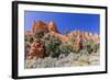 Red Sandstone Formations in Red Canyon-Michael Nolan-Framed Photographic Print