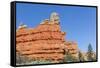 Red Sandstone Formations in Red Canyon-Michael Nolan-Framed Stretched Canvas