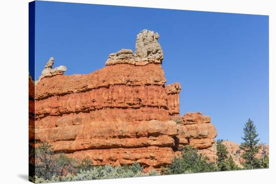 Red Sandstone Formations in Red Canyon-Michael Nolan-Stretched Canvas