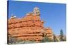 Red Sandstone Formations in Red Canyon-Michael Nolan-Stretched Canvas