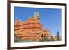 Red Sandstone Formations in Red Canyon-Michael Nolan-Framed Photographic Print