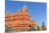 Red Sandstone Formations in Red Canyon-Michael Nolan-Mounted Photographic Print