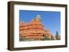 Red Sandstone Formations in Red Canyon-Michael Nolan-Framed Photographic Print