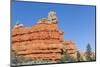 Red Sandstone Formations in Red Canyon-Michael Nolan-Mounted Photographic Print