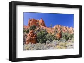 Red Sandstone Formations in Red Canyon-Michael Nolan-Framed Photographic Print