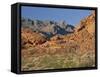 Red Sandstone Rocks, in the Valley of Fire State Park, Nevada, USA-Tomlinson Ruth-Framed Stretched Canvas