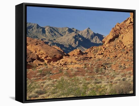 Red Sandstone Rocks, in the Valley of Fire State Park, Nevada, USA-Tomlinson Ruth-Framed Stretched Canvas