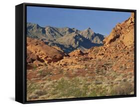 Red Sandstone Rocks, in the Valley of Fire State Park, Nevada, USA-Tomlinson Ruth-Framed Stretched Canvas