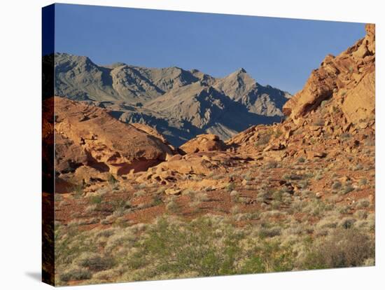 Red Sandstone Rocks, in the Valley of Fire State Park, Nevada, USA-Tomlinson Ruth-Stretched Canvas