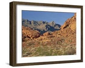 Red Sandstone Rocks, in the Valley of Fire State Park, Nevada, USA-Tomlinson Ruth-Framed Photographic Print