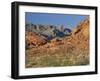 Red Sandstone Rocks, in the Valley of Fire State Park, Nevada, USA-Tomlinson Ruth-Framed Photographic Print