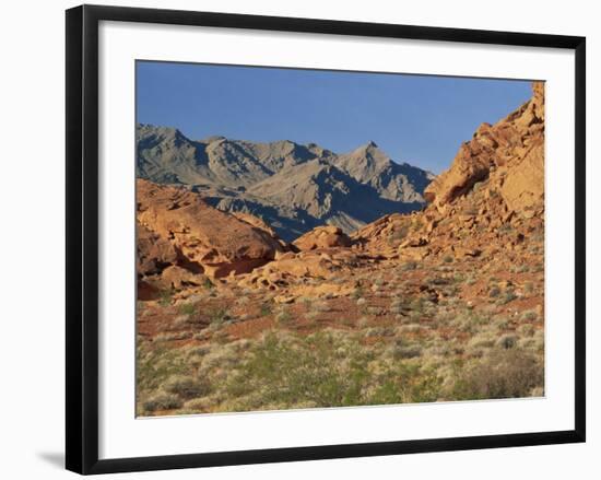 Red Sandstone Rocks, in the Valley of Fire State Park, Nevada, USA-Tomlinson Ruth-Framed Photographic Print