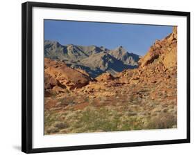 Red Sandstone Rocks, in the Valley of Fire State Park, Nevada, USA-Tomlinson Ruth-Framed Photographic Print