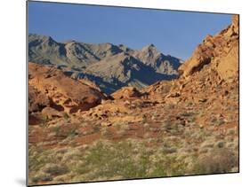 Red Sandstone Rocks, in the Valley of Fire State Park, Nevada, USA-Tomlinson Ruth-Mounted Photographic Print