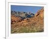 Red Sandstone Rocks, in the Valley of Fire State Park, Nevada, USA-Tomlinson Ruth-Framed Photographic Print