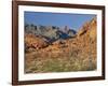 Red Sandstone Rocks, in the Valley of Fire State Park, Nevada, USA-Tomlinson Ruth-Framed Photographic Print