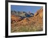 Red Sandstone Rocks, in the Valley of Fire State Park, Nevada, USA-Tomlinson Ruth-Framed Photographic Print