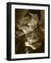 Red Sandstone Walls of Lower Antelope Canyon, Page, Arizona, USA-Adam Jones-Framed Photographic Print