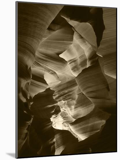 Red Sandstone Walls of Lower Antelope Canyon, Page, Arizona, USA-Adam Jones-Mounted Photographic Print