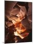 Red Sandstone Walls of Lower Antelope Canyon, Page, Arizona, USA-Adam Jones-Mounted Photographic Print