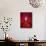 Red Sculpture-Sebastien Lory-Mounted Photographic Print displayed on a wall