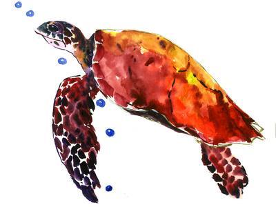 https://imgc.allpostersimages.com/img/posters/red-sea-turtle_u-L-F9JRCK0.jpg?artPerspective=n