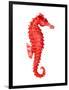 Red Seahorse-null-Framed Premium Giclee Print