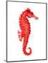 Red Seahorse-null-Mounted Art Print