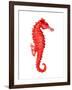 Red Seahorse-null-Framed Art Print