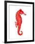 Red Seahorse-null-Framed Art Print