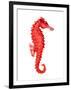 Red Seahorse-null-Framed Art Print