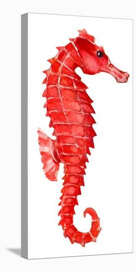 Red Seahorse-null-Stretched Canvas