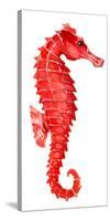 Red Seahorse-null-Stretched Canvas