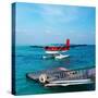 Red Seaplane at Maldives-haveseen-Stretched Canvas