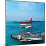 Red Seaplane at Maldives-haveseen-Mounted Photographic Print