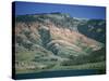 Red Shale Exposed on Hillside, Gros Ventre Valley, Wyoming, United States of America, North America-Waltham Tony-Stretched Canvas