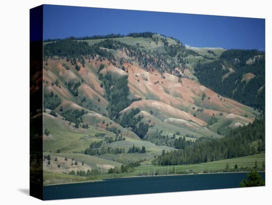 Red Shale Exposed on Hillside, Gros Ventre Valley, Wyoming, United States of America, North America-Waltham Tony-Stretched Canvas